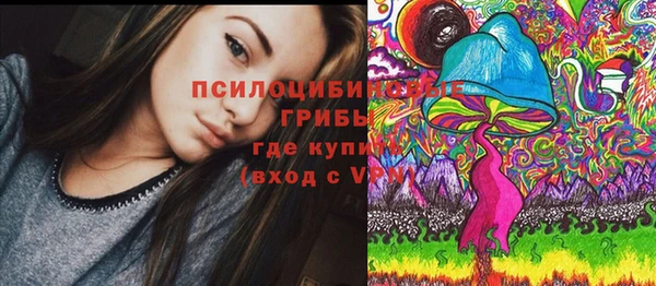сатива Бронницы