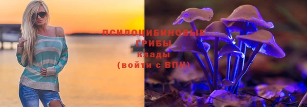 ГАЛЛЮЦИНОГЕННЫЕ ГРИБЫ Верхнеуральск