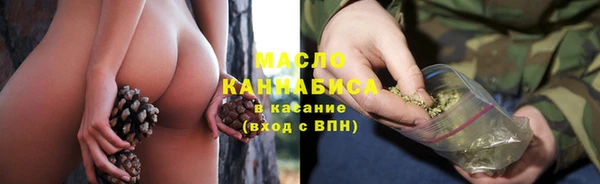 сатива Бронницы
