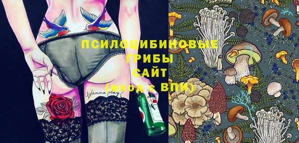 дурь Богданович