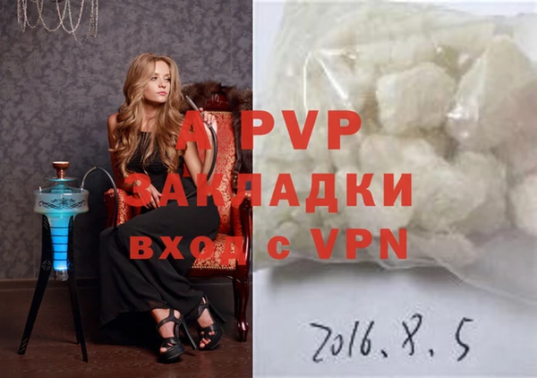 сатива Бронницы