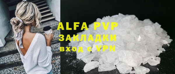 сатива Бронницы