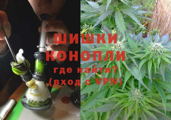 сатива Бронницы